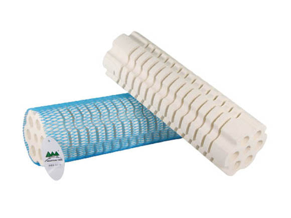 Mountain Tree Lotus Root Bacteria House - Marine