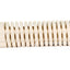 Mountain Tree Lotus Root Bacteria House