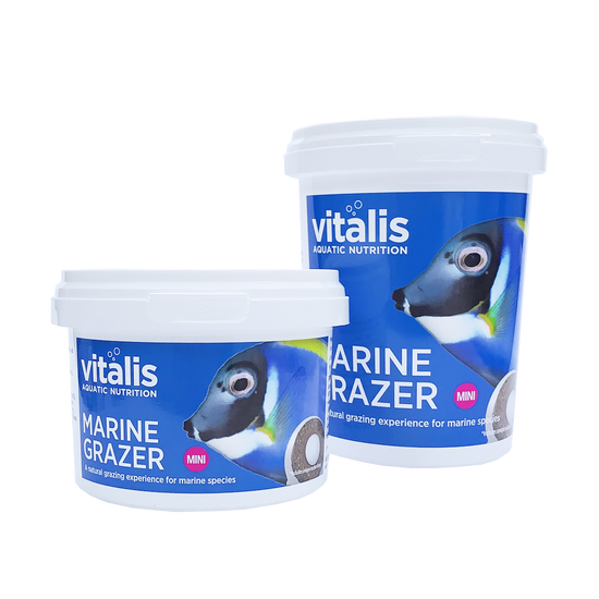 Vitalis MINI Marine Grazer – Addicted2Fish
