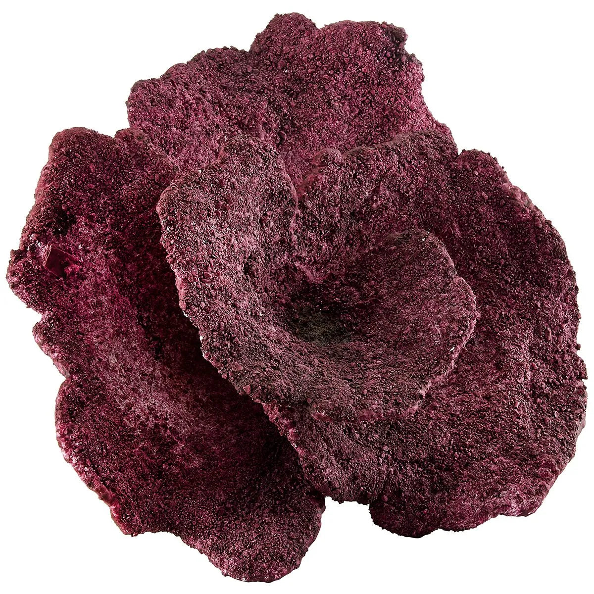 Real Reef Plate Corals