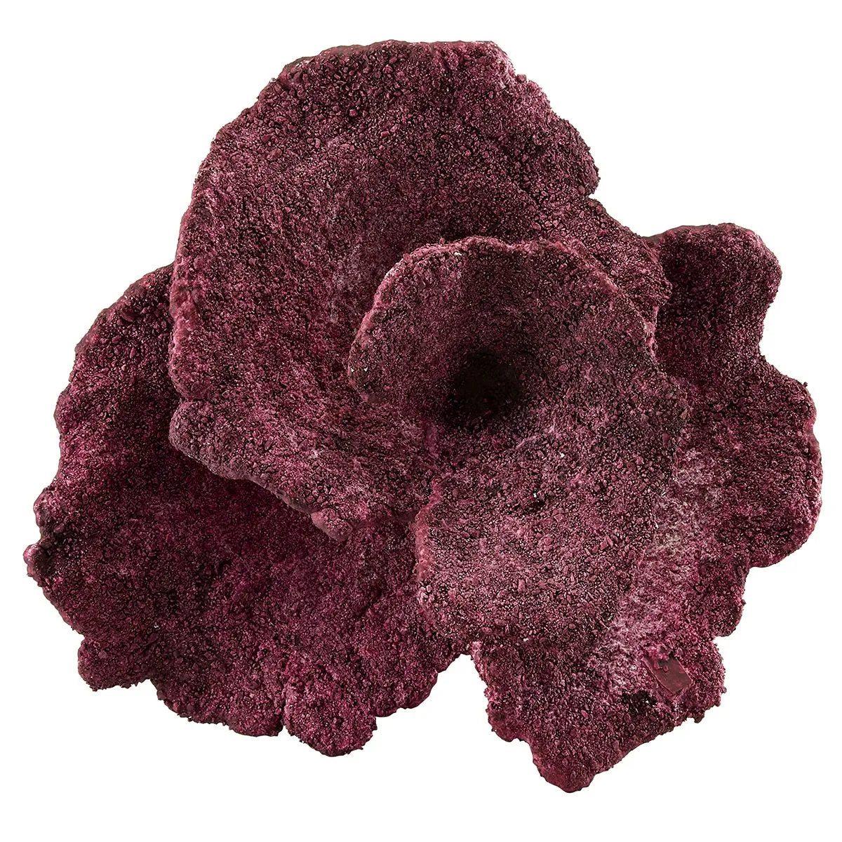 Real Reef Plate Corals