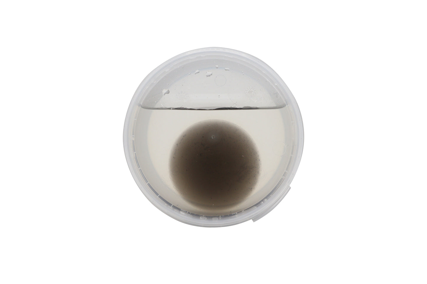 Evolution Aqua PURE Pond BOMB