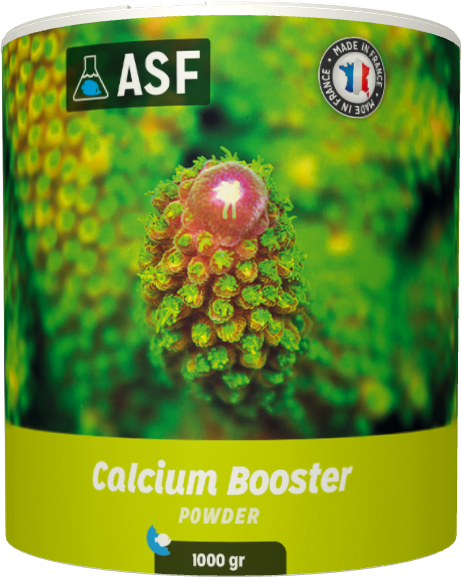 ASF Calcium Booster