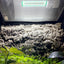 Reptile Systems New Dawn UVI LED Flood Lamp