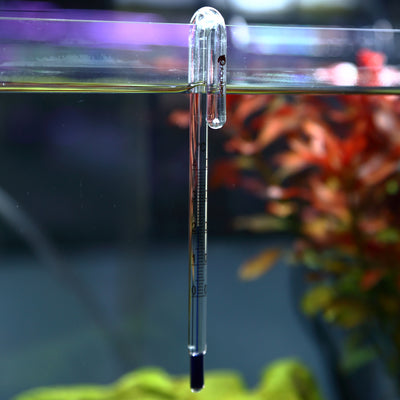 AquaPRO Hang-on Thermometer