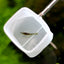 AquaPRO Retractable Shrimp Net Quadrate