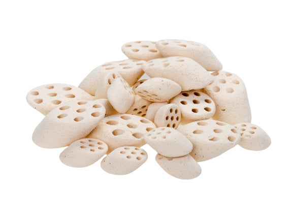 Mountain Tree Lotus Root Nitro Ring II - FRESHWATER