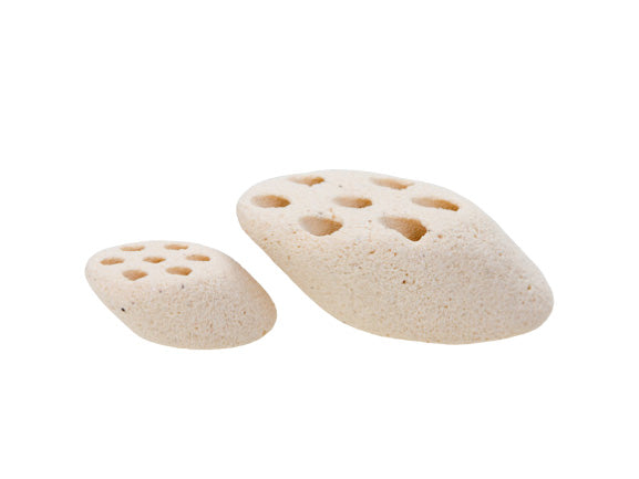 Mountain Tree Lotus Root Nitro Ring II - FRESHWATER