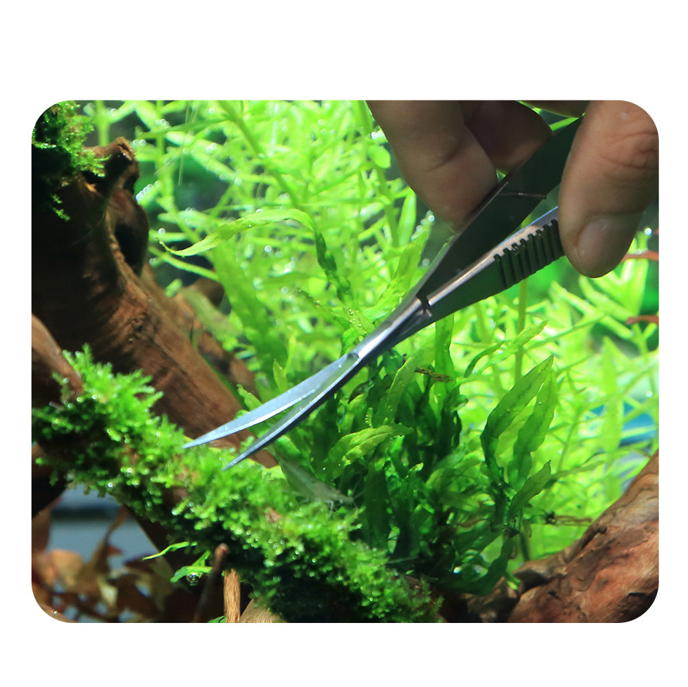 AquaPRO Curved Spring Scissors