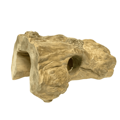 Golden Tree Reptile Hideout - Extra Large 40cm
